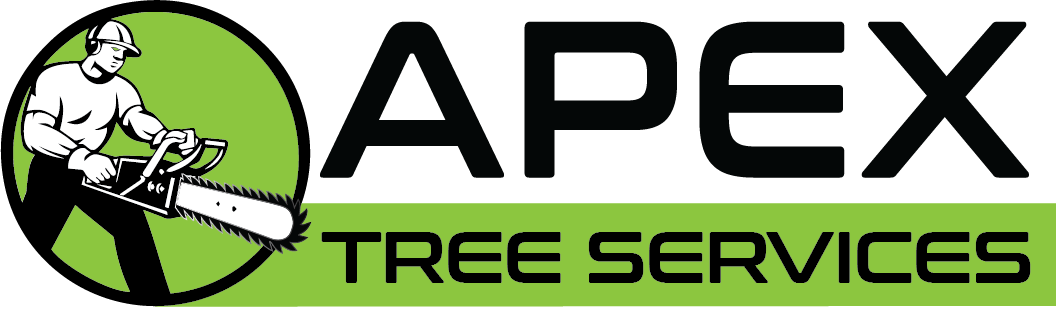 Apex Tree Services